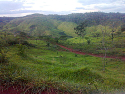 Foto0091