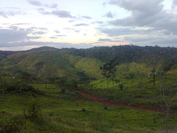 Foto0092