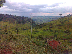Foto0093