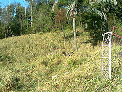 Foto0096