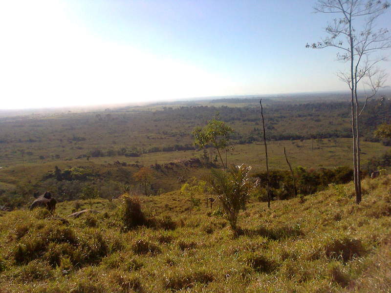 Foto0097
