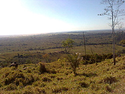 Foto0097