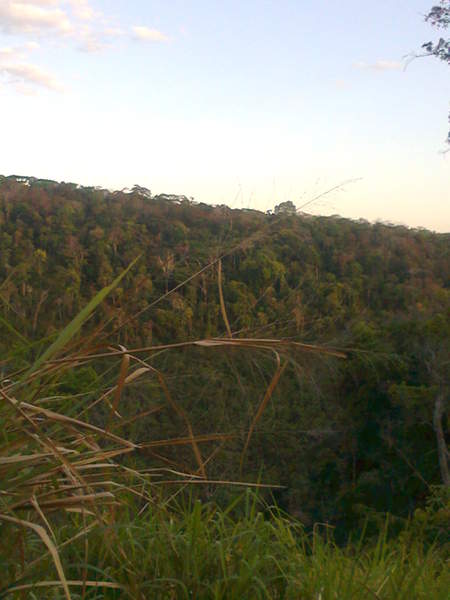 Foto0113