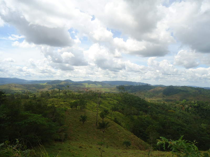 DSC01330