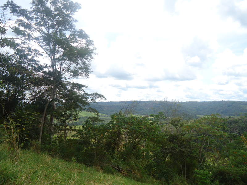 DSC01331