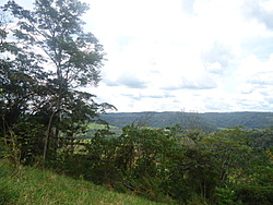 DSC01331