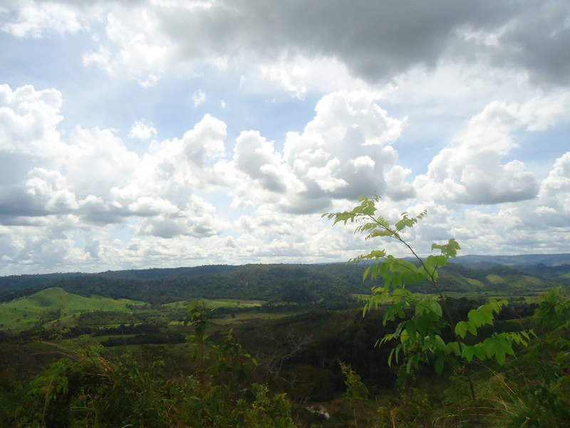 DSC01332