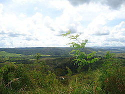 DSC01333