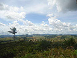 DSC01334