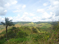 DSC01335