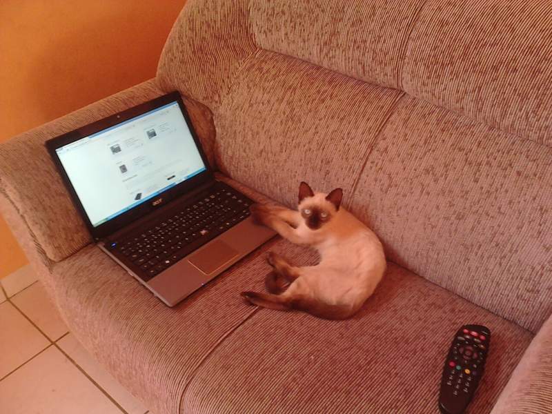 Gerente Geral - Verificando a Rede e curtindo uma Sky - Sebastian