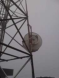 Antena RFS, radio SIA