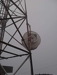Antena RFS, radio SIA