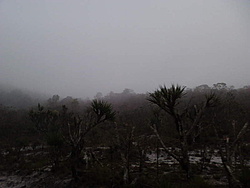 Serra as 16:00 no verão