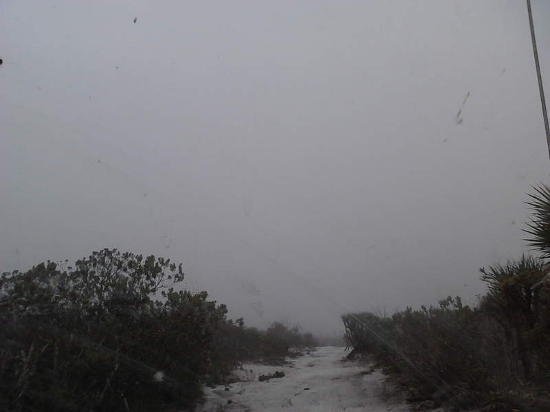 Visão da torre a 100 Metros de distancia, as 16:00