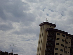 DSC03175