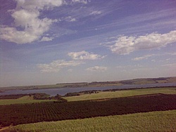 29072011775