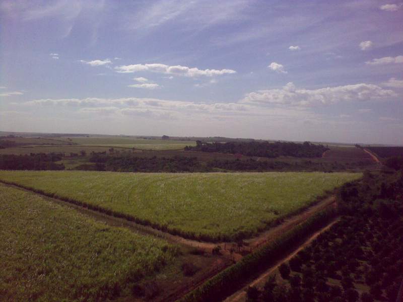 29072011773