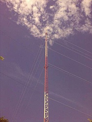 29072011768