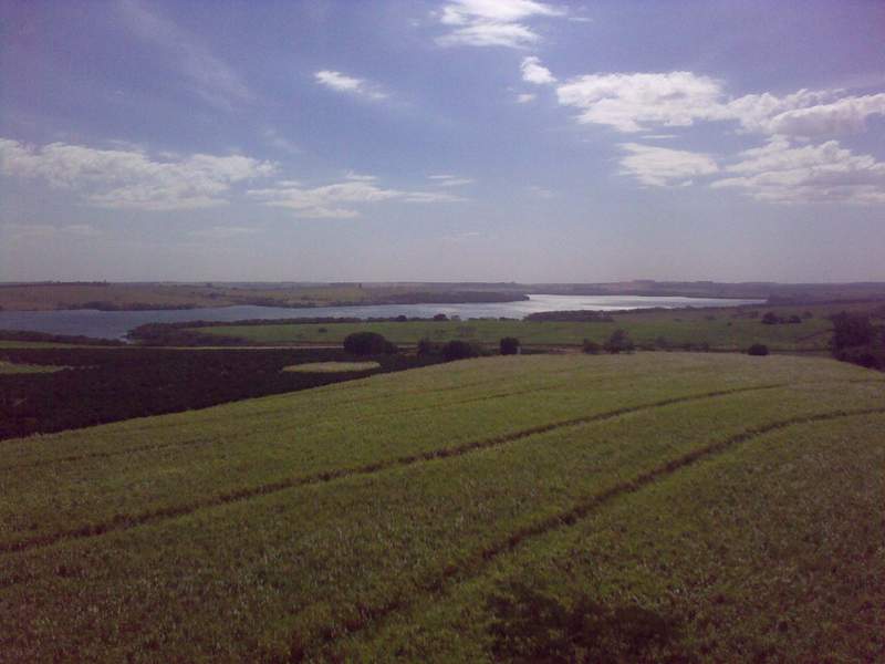 29072011780