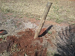 Foto0006