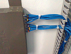 Foto0003