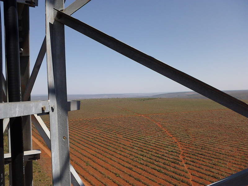 Vista da torre