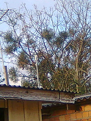 Clique na imagem para uma versão maior

Nome:	         Imagem0726.jpg
Visualizações:	405
Tamanho: 	55,6 KB
ID:      	27675