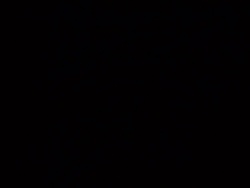 tn 100 3036