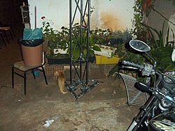 tn 100 3044