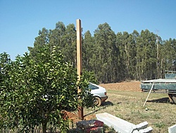 tn 100 3052