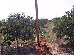 tn 100 3053