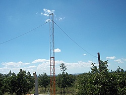 tn 100 3076