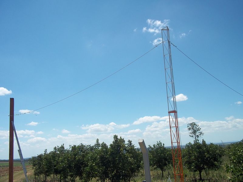 tn 100 3077