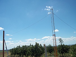tn 100 3077