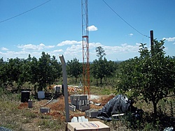 tn 100 3078