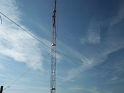 tn 100 3081