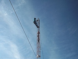 tn 100 3082