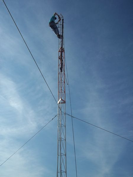 tn 100 3083