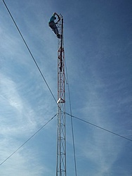 tn 100 3083