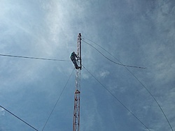 tn 100 3084