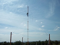 tn 100 3087