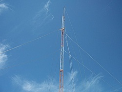 tn 100 3089