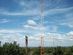 tn 100 3090