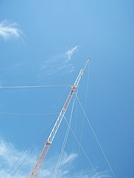 tn 100 3091