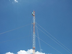 tn 100 3093