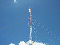 tn 100 3094