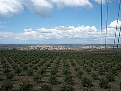tn 100 3097