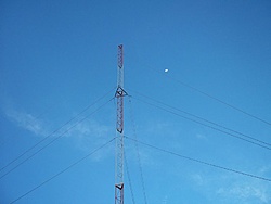 tn 100 3106