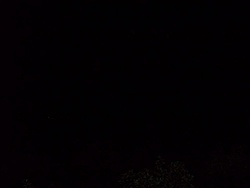 tn 100 3116